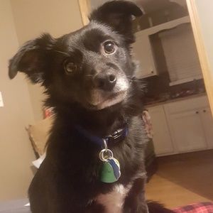 Meet your Posher, Taylor